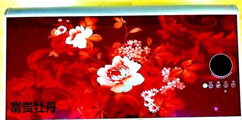 攜手順太樂(lè)，共贏綠色未來(lái) 誠(chéng)征節(jié)能健康環(huán)保電熱兩用熱水器代理經(jīng)銷商